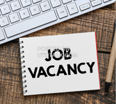Freelance Online Marketing and Team Management Specialist. (No Agent)